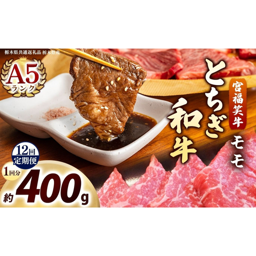 [定期便12回]宮福笑牛(とちぎ和牛) A5 モモ焼き肉 約400g｜数量限定 黒毛 和牛 牛肉 国産牛 国産 ブランド牛 お肉 切り落とし サシ 霜降り 甘い ステーキ すき焼き しゃぶしゃぶ 焼肉 切落し 上品 アレンジ 美味しい 料理 主婦 とちぎ  栃木県 矢板市