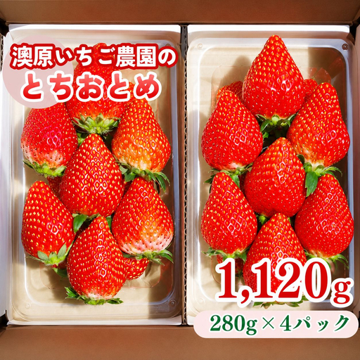 《１２月中旬より順次出荷》｜澳原いちご農園のとちおとめ | 280g×4p |いちご 苺 フルーツ 果物 とちおとめ ジューシー 甘い 美味しい 取り寄せ 贅沢 ご褒美 デザート ふるさと 納税 栃木県 矢板市