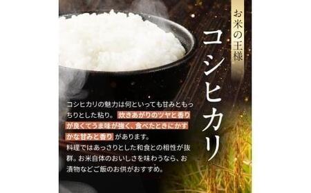 数量限定！お米 こしひかり 玄米 5kg 栃木県 矢板市