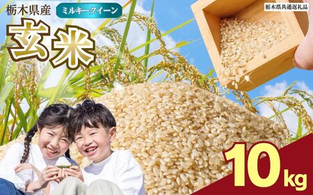 数量限定！お米 ミルキークイーン 玄米 10kg 栃木県 矢板市