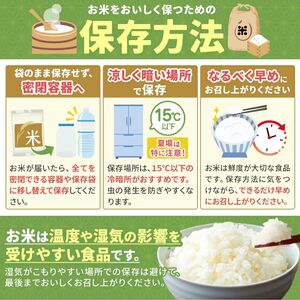 数量限定！お米 ミルキークイーン 玄米 10kg 栃木県 矢板市