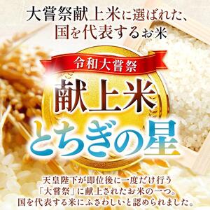 パックごはん とちぎの星 栃木県矢板市産 お米 100％ 150g×20個
