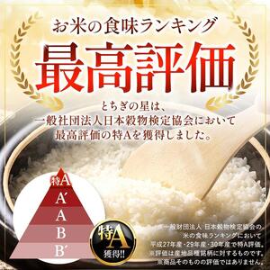 パックごはん とちぎの星 栃木県矢板市産 お米 100％ 150g×20個