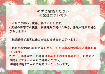 [12月中旬より順次発送予定・いちご研究所が17年費やした] スカイベリー600g｜いちご イチゴ 苺 フルーツ 果物 産地直送 栃木県産 矢板市産 先行予約 [0420]