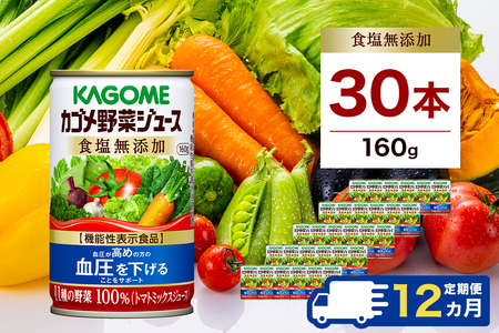 【定期便12ヵ月】カゴメ　野菜ジュース　食塩無添加　160g缶×30本 1ケース 毎月届く 12ヵ月 12回コース【 栃木県 那須塩原市 】 ns001-022