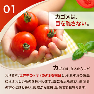 カゴメ　トマトジュース　食塩無添加　190g缶×30本【 飲料 栃木県 那須塩原市 】 ns001-023