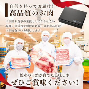 那須野ヶ原和牛　赤身しゃぶしゃぶ460g(約2～4人前)【 牛肉 栃木県 那須塩原市 】 ns004-011