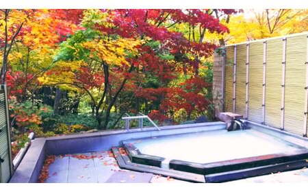 塩原温泉 源泉掛け流しにごり湯 奥塩原高原ホテル ペア宿泊券 本館モダン和室（１泊２食付） ns016-001  旅行 体験 ﾍﾟｱ ﾁｹｯﾄ 温泉 旅 ﾄﾗﾍﾞﾙ