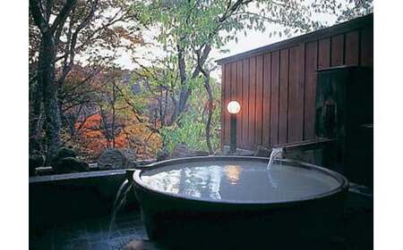 塩原温泉 源泉掛け流しにごり湯 奥塩原高原ホテル ペア宿泊券 本館モダン和室（１泊２食付） ns016-001  旅行 体験 ﾍﾟｱ ﾁｹｯﾄ 温泉 旅 ﾄﾗﾍﾞﾙ