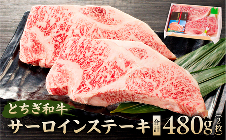 とちぎ和牛サーロインステーキ ns032-004 牛肉 肉 国産