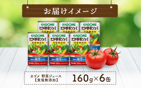 カゴメ 野菜 ジュース 食塩 無添加 160g × 6缶 100% 機能性表示食品 11種類の野菜 濃縮トマト 緑黄色野菜 野菜ジュース セロリ ビート レタス キャベツ ほうれん草 食塩不使用 無塩 缶 飲料 ドリンク とまと GABA 血圧 かごめ KAGOME 送料無料 那須塩原市 ns038-003