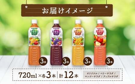 カゴメ 野菜生活100 飲み比べセット スマートPET 720ml  4種 各3本 計12本 オリジナル ベリーサラダ マンゴーサラダ アップルサラダ 野菜 果実 ミックスジュース 野菜ジュース フルーツジュース 果物 フルーツ 飲料 お取り寄せ KAGOME 送料無料 那須塩原市 ns038-016