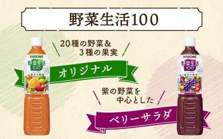 定期便 12ヵ月連続 カゴメ 野菜生活100 飲み比べセット スマートPET 720ml  4種 計12本 オリジナル ベリーサラダ マンゴーサラダ アップルサラダ 野菜 果実 ミックスジュース 野菜ジュース フルーツジュース フルーツ 飲料 KAGOME 送料無料 那須塩原市 ns038-035