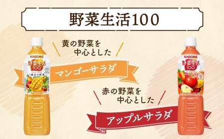定期便 12ヵ月連続 カゴメ 野菜生活100 飲み比べセット スマートPET 720ml  4種 計12本 オリジナル ベリーサラダ マンゴーサラダ アップルサラダ 野菜 果実 ミックスジュース 野菜ジュース フルーツジュース フルーツ 飲料 KAGOME 送料無料 那須塩原市 ns038-035