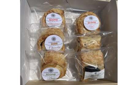 【ティータイムや朝食にも】手作りスコーン6種おためし食べ比べセット【 栃木県 那須塩原市 】 ns068-002