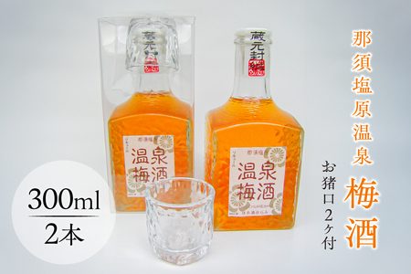 那須塩原温泉梅酒(お猪口2ヶ付)【 お酒 栃木県 那須塩原市 】ns049-010