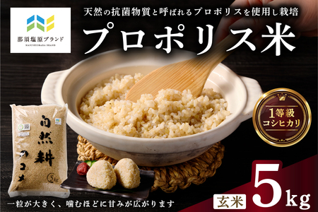 【那須塩原ブランド認定品】プロポリス米(1等級コシヒカリ 玄米5kg)  【令和7年度産米】 ns063-001