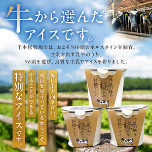 生乳の味を極めた特撰アイス17個セット 【千本松牧場】 ns025-011-17 お菓子 ｽｲｰﾂ ｱｲｽ 牛乳 ｱｲｽｸﾘｰﾑ 生乳 牧場 ｱｲｽ ﾐﾙｸ ｱｲｽｸﾘｰﾑ ﾊﾞﾆﾗ 