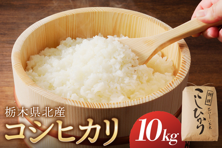 【令和6年度産】栃木県北産コシヒカリ 10kg入 お米 米 ﾌﾞﾗﾝﾄﾞ米 ｺｼﾋｶﾘ おにぎり ご飯 白米 精米 ns091-001