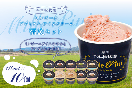 福袋セット（ミレピーニアイス10個セット）【千本松牧場】 ns025-014-10 ｱｲｽ ｽｲｰﾂ おやつ ﾌﾟﾚﾐｱﾑ ｱｲｽｸﾘｰﾑ 