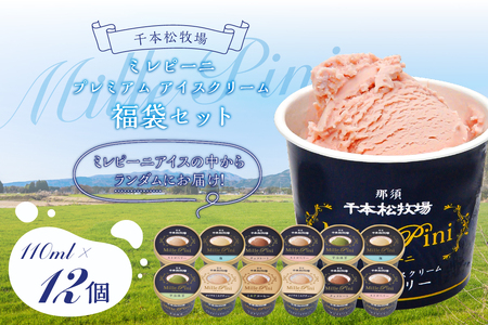 福袋セット(ミレピーニアイス12個セット)【千本松牧場】 ns025-014-12 アイス スイーツ おやつ プレミアム アイスクリーム