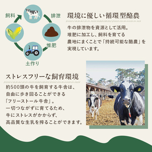 食べ比べセット　ピュアミルクアイス6個とミレピーニアイス6個【千本松牧場】 ns025-015-12 ｱｲｽ ｽｲｰﾂ おやつ ﾋﾟｭｱﾐﾙｸ 牛乳 ﾐﾙｸ 