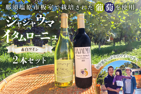 ジャジャウマ・イタムローニュ　赤白ワイン2本セット ns107-001 お酒 ﾜｲﾝ ﾏｽｶｯﾄﾍﾞｰﾘｰA ｼｬﾙﾄﾞﾈ ｿｰｳﾞｨﾆﾖﾝﾌﾞﾗﾝ