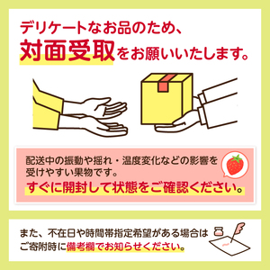 栃木県産　とちあいか4パック ns110-001-4 果物 ﾌﾙｰﾂ いちご ｲﾁｺﾞ とちあいか 苺 ｽﾄﾛﾍﾞﾘｰ 食品