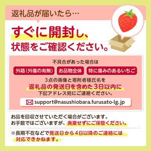 栃木県産　とちあいか4パック ns110-001-4 果物 ﾌﾙｰﾂ いちご ｲﾁｺﾞ とちあいか 苺 ｽﾄﾛﾍﾞﾘｰ 食品