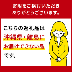 栃木県産　とちあいか4パック ns110-001-4 果物 ﾌﾙｰﾂ いちご ｲﾁｺﾞ とちあいか 苺 ｽﾄﾛﾍﾞﾘｰ 食品