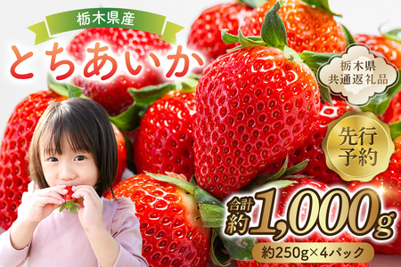 【先行予約】栃木県産 とちあいか約250ｇ×4パック 【栃木県共通返礼品】 ns120-001 果物 いちご とちあいか ｵﾘｼﾞﾅﾙ品種 甘味 香り 国産 ﾌﾞﾗﾝﾄﾞ ﾌﾙｰﾂ