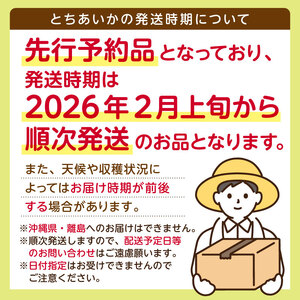 【先行予約】栃木県産 とちあいか約250ｇ×4パック 【栃木県共通返礼品】 ns120-001 果物 いちご とちあいか ｵﾘｼﾞﾅﾙ品種 甘味 香り 国産 ﾌﾞﾗﾝﾄﾞ ﾌﾙｰﾂ
