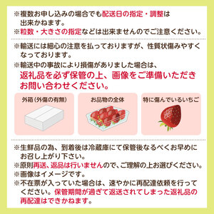 【先行予約】栃木県産 とちあいか約250ｇ×4パック 【栃木県共通返礼品】 ns120-001 果物 いちご とちあいか ｵﾘｼﾞﾅﾙ品種 甘味 香り 国産 ﾌﾞﾗﾝﾄﾞ ﾌﾙｰﾂ