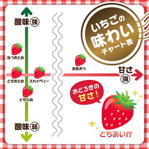 【先行予約】栃木県産 とちあいか約250ｇ×4パック 【栃木県共通返礼品】 ns120-001 果物 いちご とちあいか ｵﾘｼﾞﾅﾙ品種 甘味 香り 国産 ﾌﾞﾗﾝﾄﾞ ﾌﾙｰﾂ