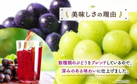 １００ＣＡＮグレープ160g×12 ns038-047 飲料 ｶｺﾞﾒ ぶどうｼﾞｭｰｽ ｾｯﾄ ﾌﾙｰﾂｼﾞｭｰｽ