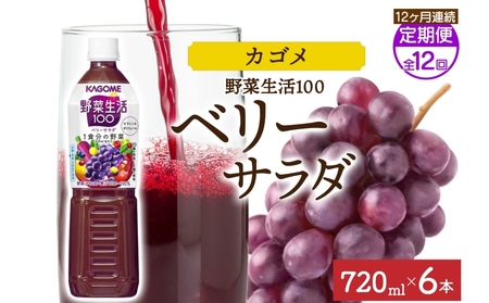 【定期便】12ヵ月連続野菜生活100 ベリーサラダ 720mlPET ns038-077 飲料 ｶｺﾞﾒ ﾌﾙｰﾂｼﾞｭｰｽ ｾｯﾄ ﾐｯｸｽｼﾞｭｰｽ