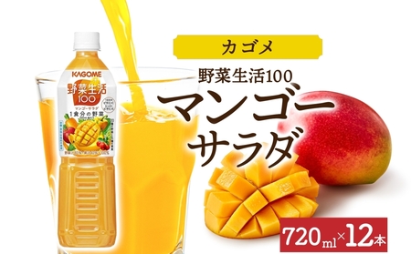 野菜生活100 マンゴーサラダ 720mlPET×12 ns038-059-12 カゴメ