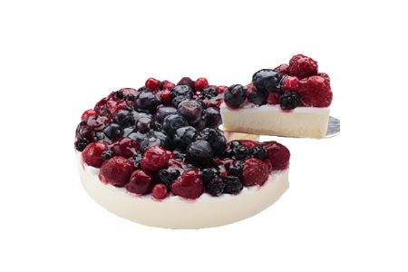 ベリーベリータルトレアチーズケーキ 栃木県那須塩原市 ふるさと納税サイト ふるなび