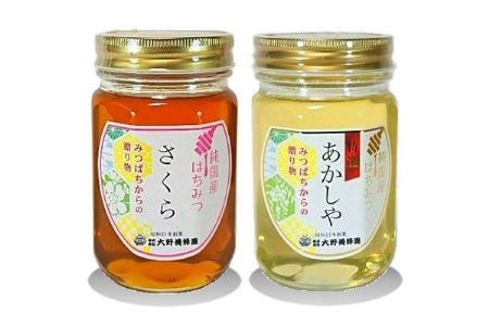 選りすぐりの純国産はちみつ450g×2本セット【1098103】
