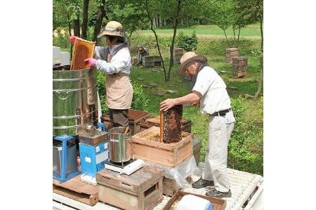 選りすぐり純国産はちみつ300g×5本セット【1116033】