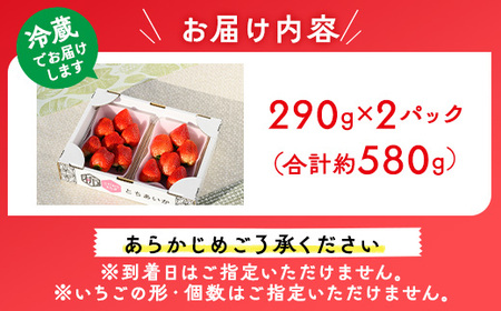 いちご（とちあいか） 290g×2パック 580g以上 ｜ ※2025年11月下旬～2026年3月下旬頃に順次発送予定