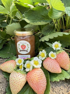 【数量限定】無添加 4種のいちごジャム（ミルキーベリー スカイベリー とちあいか とちおとめ）｜ 栃木県 さくら市 イチゴ 苺