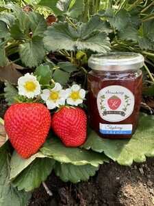 【数量限定】無添加 4種のいちごジャム（ミルキーベリー スカイベリー とちあいか とちおとめ）｜ 栃木県 さくら市 イチゴ 苺