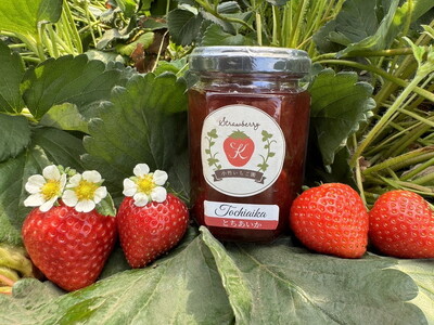 【数量限定】無添加 4種のいちごジャム（ミルキーベリー スカイベリー とちあいか とちおとめ）｜ 栃木県 さくら市 イチゴ 苺