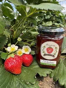 【数量限定】無添加 4種のいちごジャム（ミルキーベリー スカイベリー とちあいか とちおとめ）｜ 栃木県 さくら市 イチゴ 苺