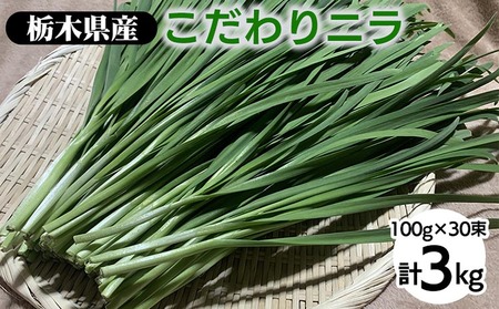 栃木県産こだわりニラ100g×30束 ｜ さくら市 にら 韮 野菜 国産