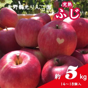 矢野観光りんご園のりんご 約5kg（14コ～18コ入り）≪リンゴ 国産