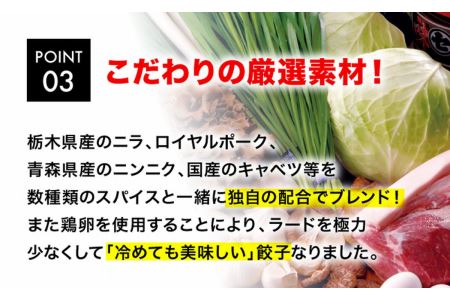 「宇都宮餃子館」スタミナ健太餃子 960g（48個）≪ギョーザ 冷凍餃子 冷凍食品 グルメ 食品 惣菜 中華惣菜 点心 中華≫