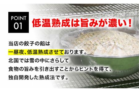 「宇都宮餃子館」ニンニク餃子 960ｇ（４８個）≪冷凍餃子 冷凍食品 ギョーザ グルメ 食品 惣菜 中華惣菜 点心 中華≫◇