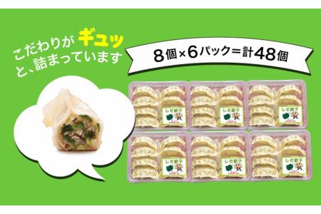 「宇都宮餃子館」シソ餃子 960ｇ（４８個）≪ギョーザ 冷凍餃子 冷凍食品 グルメ 食品 惣菜 中華惣菜 点心 中華≫◇